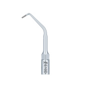 /Woodpecker/Scalerspidser/E/E/E10D