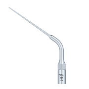 /Woodpecker/Scalerspidser/E/E/E4