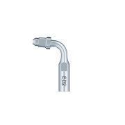 /Woodpecker/Scalerspidser/E/ED/ED2