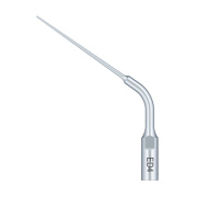 /Woodpecker/Scalerspidser/E/ED/ED4