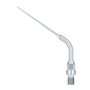 /Woodpecker/Scalerspidser/E/ES/ES14