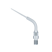 /Woodpecker/Scalerspidser/E/ES/ES15