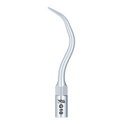 /Woodpecker/Scalerspidser/G/G/G10