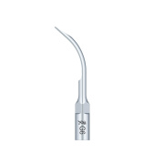 /Woodpecker/Scalerspidser/G/G/G6