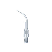 Sirona | Scalerspids - GS2