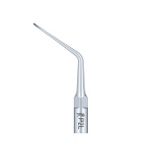 /Woodpecker/Scalerspidser/P/P/P2L