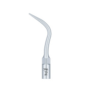 /Woodpecker/Scalerspidser/P/P/P4