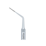 /Woodpecker/Scalerspidser/P/PD/PD2RD