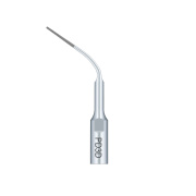 /Woodpecker/Scalerspidser/P/PD/PD3D