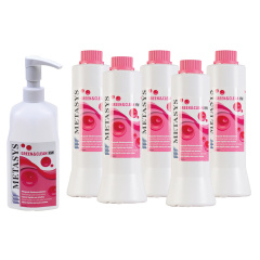 /Metasys/Handcare/HW/60030041 HW INTRO 5X750MLDISPENSER
