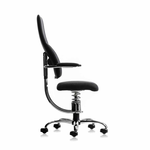 SpinaliS Navigator