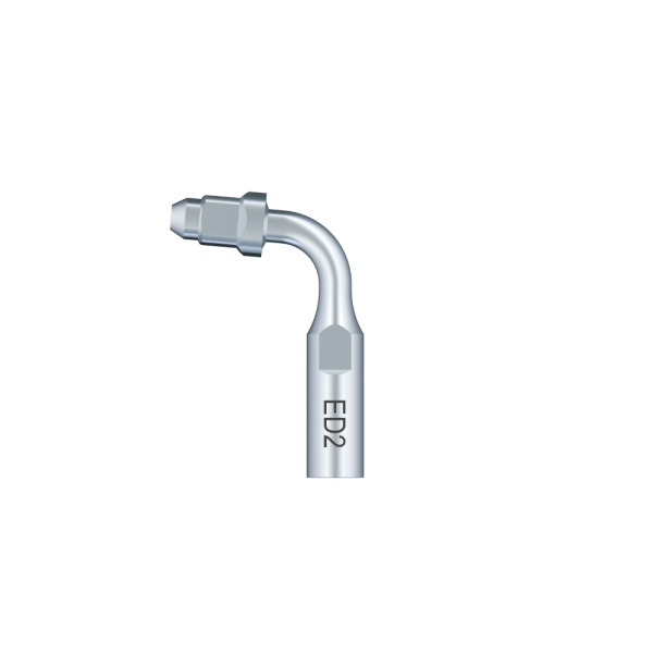 /Woodpecker/Scalerspidser/E/ED/ED2